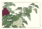 21 photo21_small.jpg